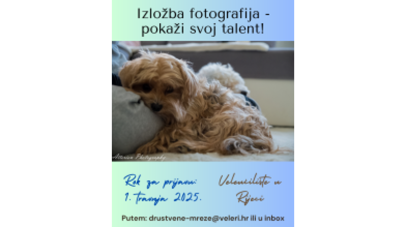 veleri_izlozba