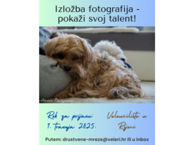 veleri_izlozba